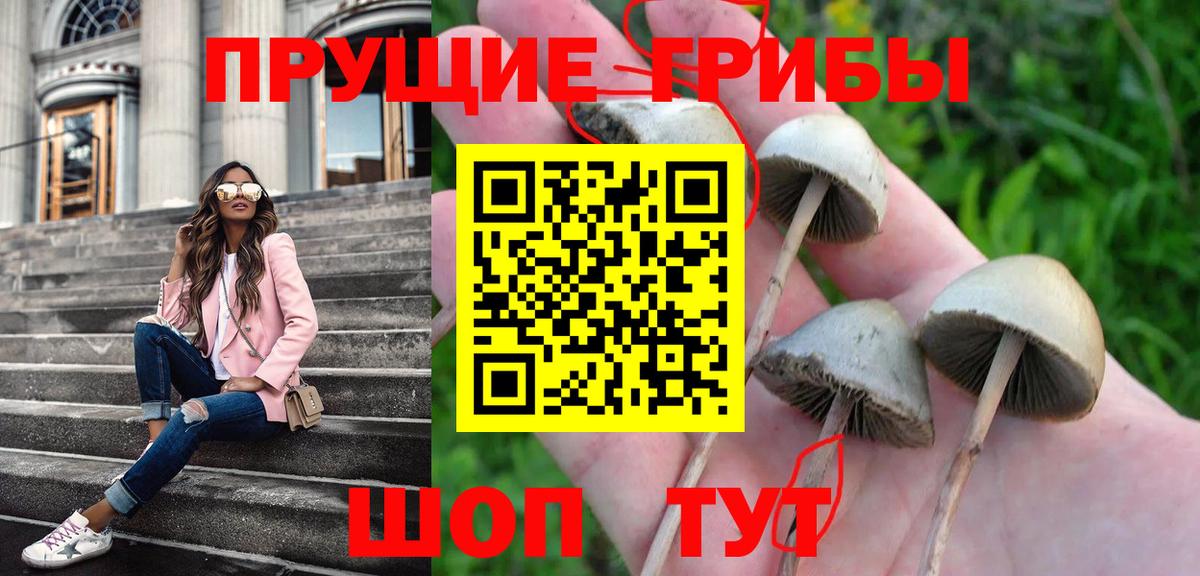 Псилоцибиновые грибы GOLDEN TEACHER Новоалександровск